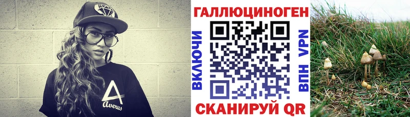 где найти наркотики Черногорск МЕГА рабочий сайт Галлюциногенные грибы GOLDEN TEACHER