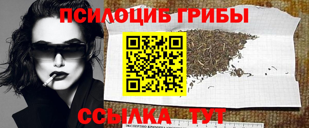 Черногорск  Псилоцибиновые грибы Psilocybine cubensis  Галлюциногенные грибы GOLDEN TEACHER  цены   Вход с VPN 